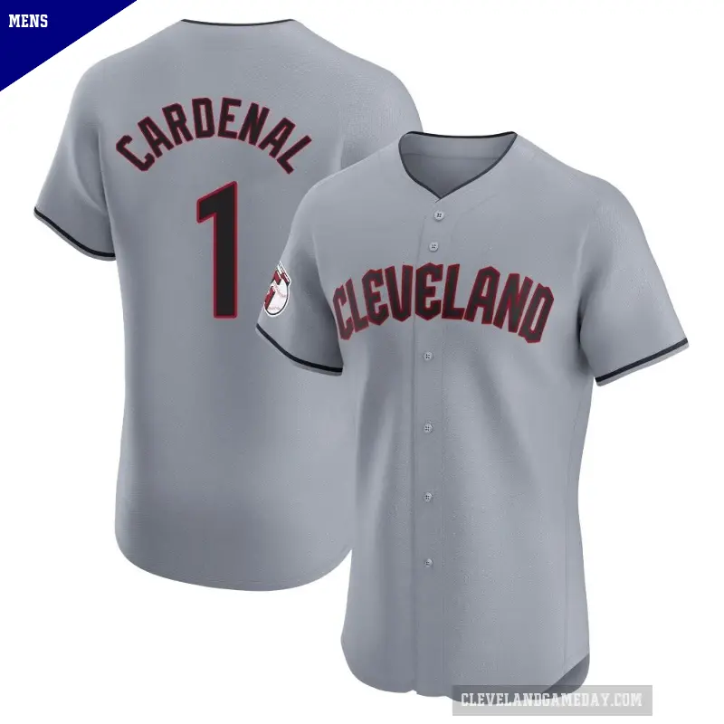 Men's No.1 Jose Cardenal Cleveland Guardians Gray Elite Road Jersey